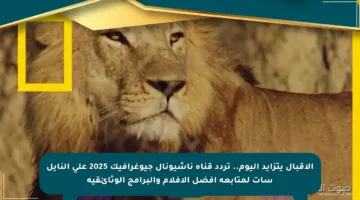 الاقبال يتزايد اليوم.. تردد قناة ناشيونال جيوغرافيك 2025 على النايل سات لمتابعة أفضل الأفلام والبرامج الوثائقية